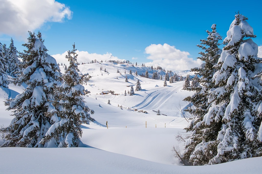 Les%20Houches%203