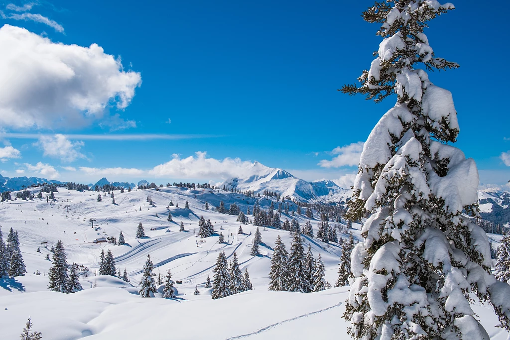 Les%20Houches%204