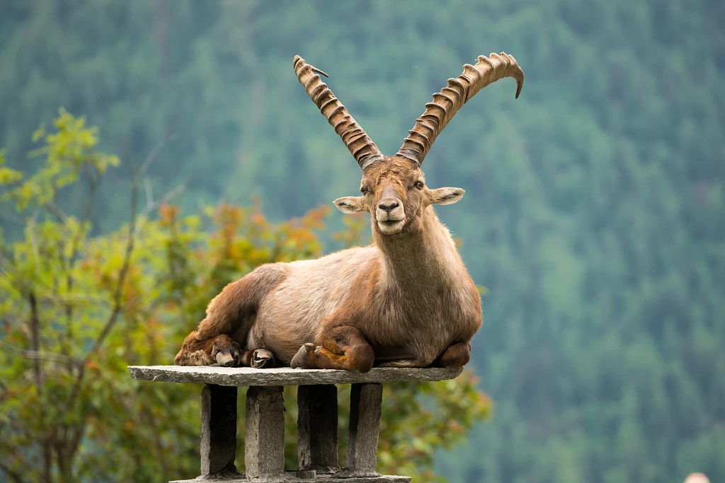 Les%20Houches%206