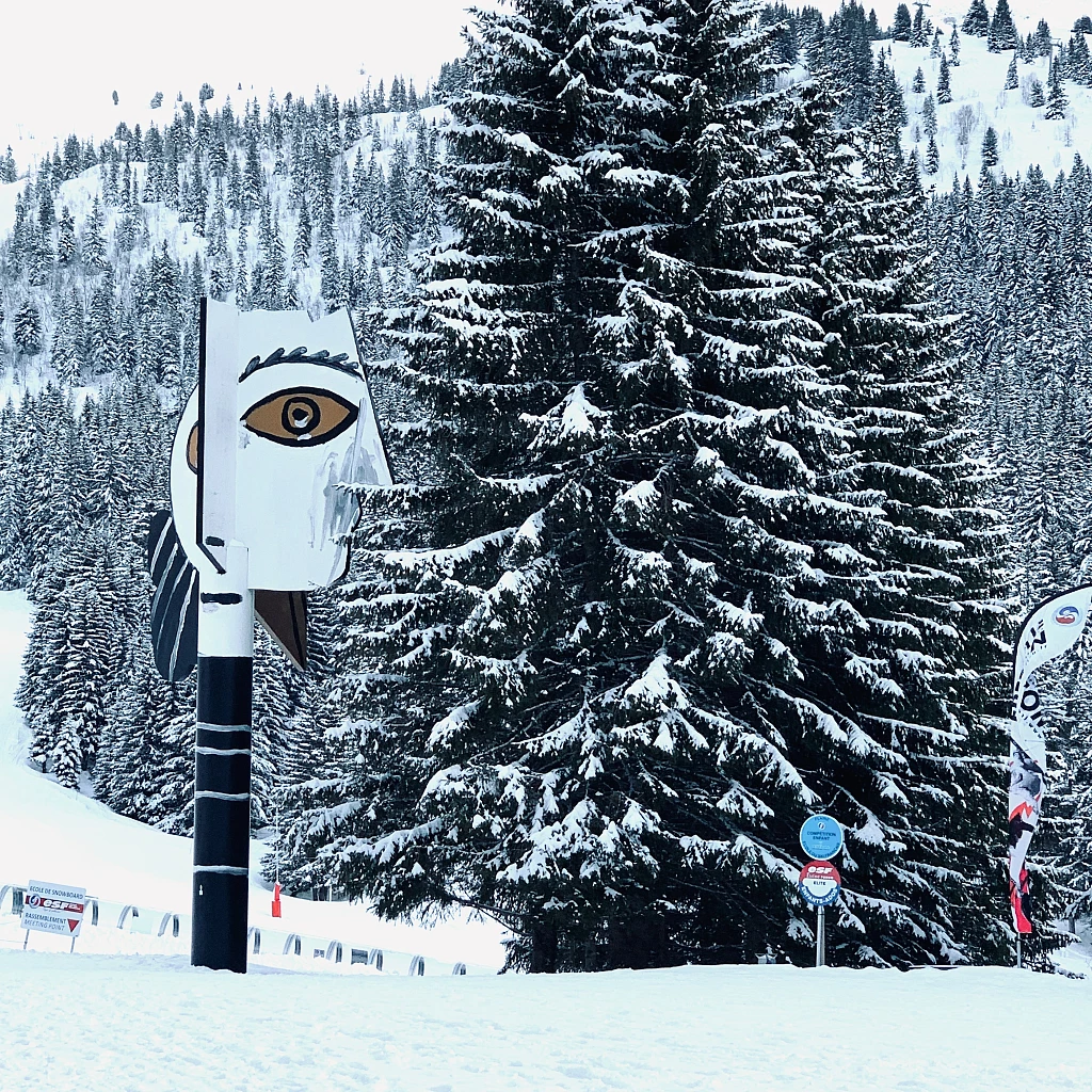 Grand Massif Ski Area 5