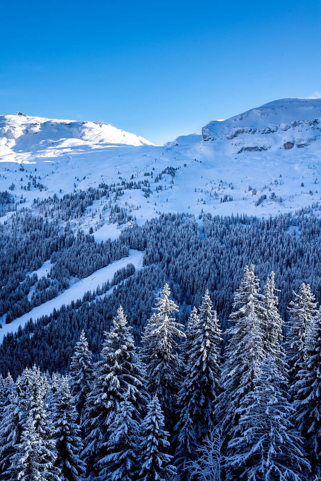 Grand Massif Ski Area