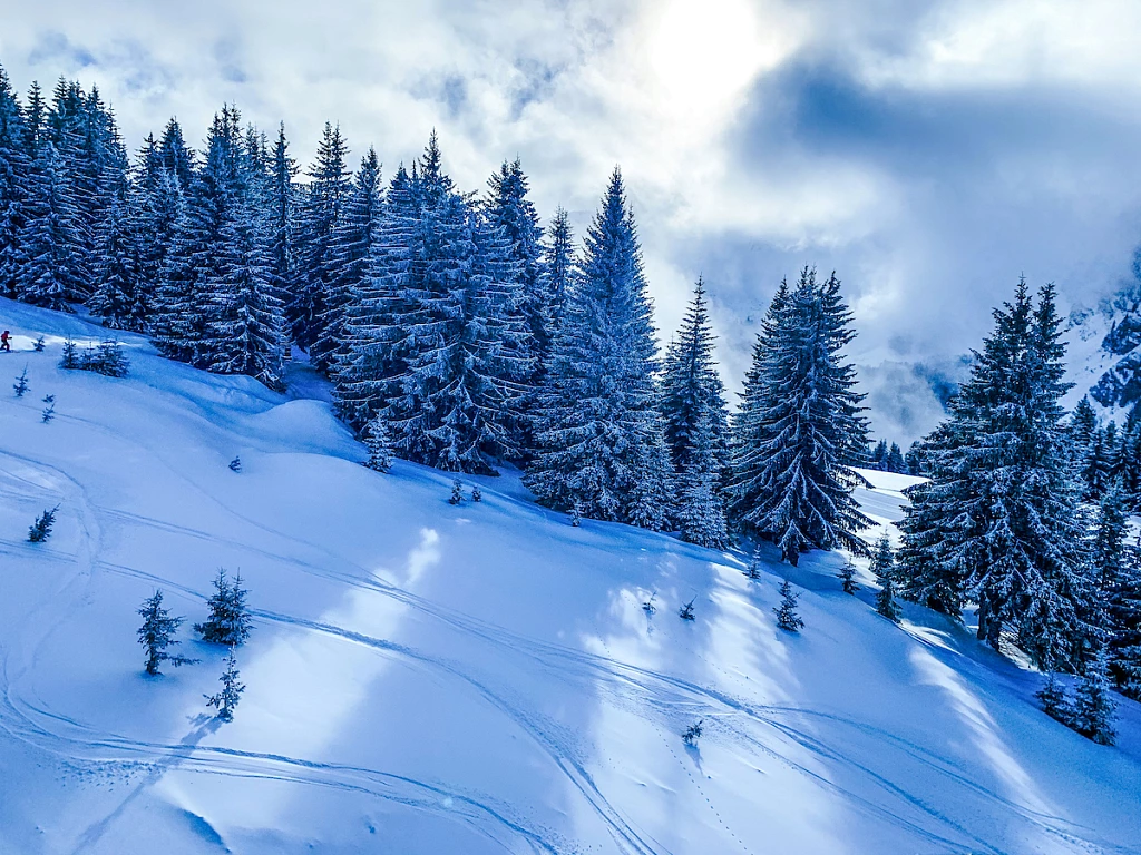 Neige fraîche à Morzine